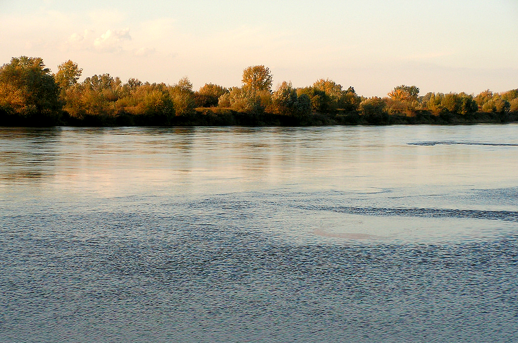 Wisła