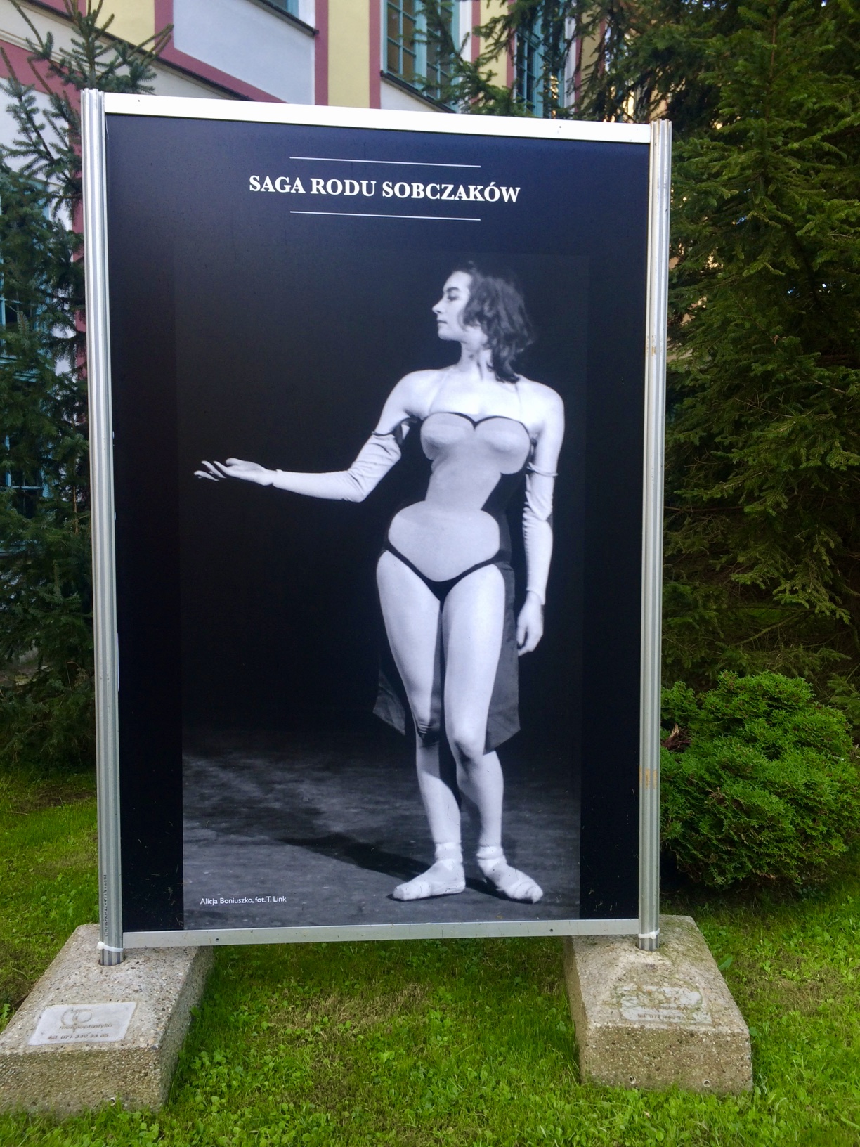 Alicja Boniuszko